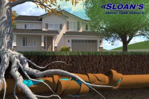 3D Image of Tree Roots in Sewer Lines