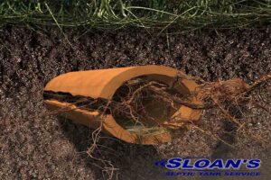3D Image of Tree Roots in Sewer Pipe