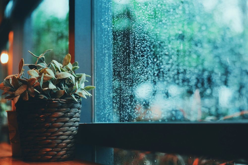 outdoor rainy situation